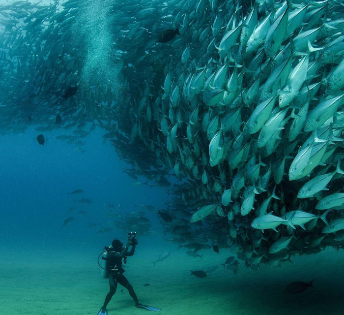 夏恋北国·北海道富良野旭川小樽札幌洞