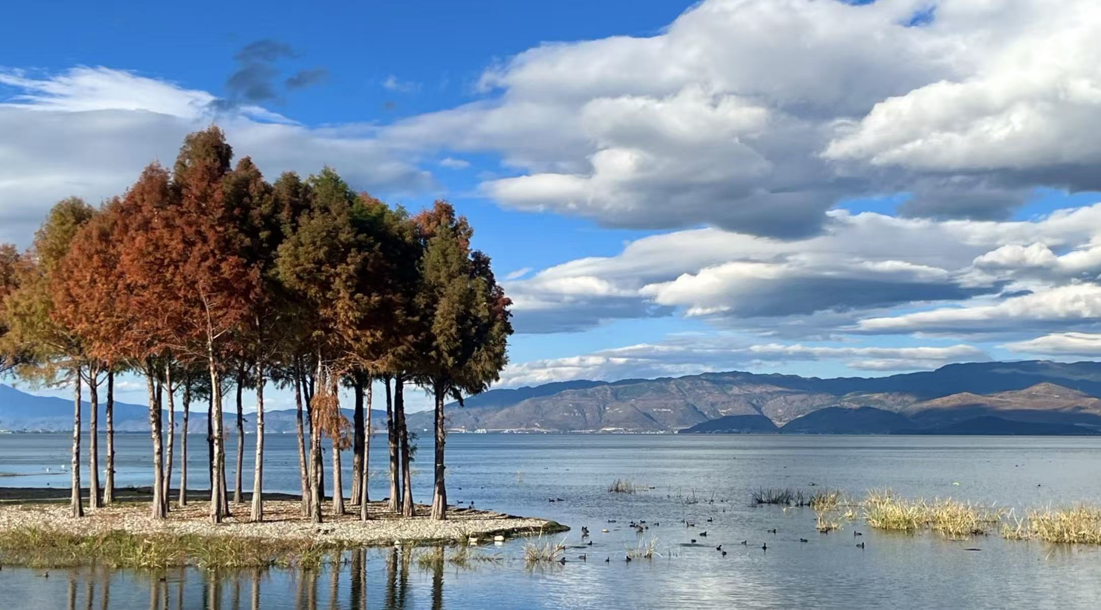 云南，是一个来了就不想走的地方。